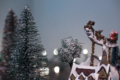 jul, træ, hus, vinter, sne, legetøj, Skærm, bokeh, plante, fest, dekoration, juletræ, ingen mennesker, natur, kold temperatur, ferie, juledekoration, lav vinkel visning, jul ornament, hængende, Frosset, himmel, udendørs, fyrretræ, nåletræ, 5K, CC0, offentligt domæne, royaltyfrie