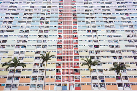 niedrig, Winkelsicht, bunt, Gebäude, Kokosnussbäume, Vorderseite, hoch, Gebäude erheben, Würmer, Auge, Aussicht, Hochhaus, Palme, Fenster, Wohnung, die Architektur, städtische Szene, Gebäudehülle, gebaute Struktur, Tag, Stadt, Wohngegend, Balkon, Flachwinkelansicht, keine Leute, draußen, Pflanze, Natur, Baum, Stadt leben, Vollbild, modern, Wiederholung, Wolkenkratzer, 5K, CC0, gemeinfrei, lizenzfrei
