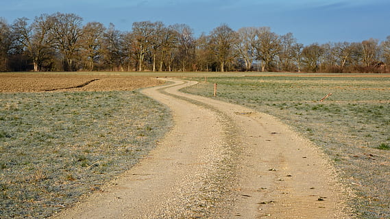Weg, Wiese, entfernt, Natur, Landschaft, Feld, Fahrbahn, morgenstimmung, Acker-, schwingen, Bayern, Baum, Pflanze, Ruhe, Land, ruhige Szene, Umgebung, Himmel, Tag, Richtung, der Weg nach vorn, keine Leute, Schönheit in der Natur, Szenen - Natur, Straße, Sonnenlicht, Schmutz, Transport, draußen, abnehmende Perspektive, 4K, CC0, gemeinfrei, lizenzfrei