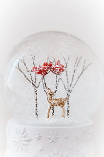 Snow globe, objects, christmas, winter, decoration, celebration, snow, christmas Ornament, white, holidays And Celebrations, christmas Decoration, snowflake, celebration event, silver colored, indoors, studio shot, white background, food and drink, food, no people, close-up, sweet food, sweet, indulgence, white color, freshness, dessert, still life, cake, temptation, 4K, CC0, public domain, royalty free