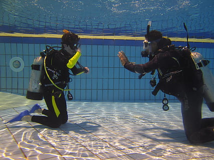 diving, teaching, scuba diving, exercise, water, pool, underwater, swimming, teach, dive, training, sport, aquatic sport, sea, real people, people, animal wildlife, nature, lifestyles, diving equipment, two people, aqualung - diving equipment, leisure activity, day, women, swimming pool, underwater diving, diving suit, 1080P, CC0, public domain, royalty free