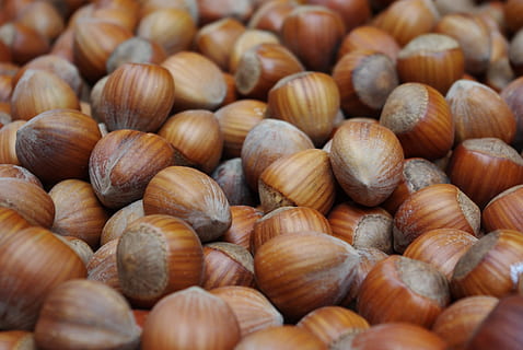 chestnut lot, hazelnuts, nuts, tree fruit, nut, food, shell, market, nutritious, macro, nutshells, hazelnut, hazel, brown, tasty, eat, healthy, food and drink, backgrounds, large group of objects, full frame, nut - food, freshness, abundance, wellbeing, selective focus, healthy eating, still life, chestnut - food, no people, close-up, day, 4K, CC0, public domain, royalty free