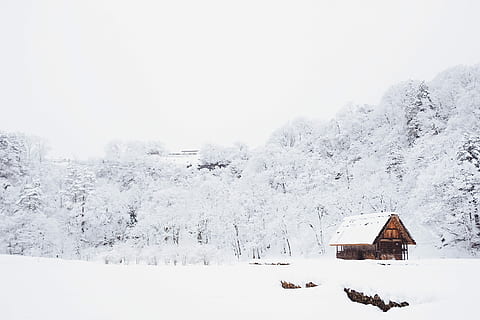 snow-covered, tree lot, daytime, brown, cabin house, surrounded, trees, covered, snow, hut, tiny, outdoor, outside, cabin, cold temperature, winter, architecture, tree, built structure, beauty in nature, scenics - nature, nature, day, house, sky, building exterior, land, white color, building, tranquil scene, clear sky, no people, outdoors, snowcapped mountain, 5K, CC0, public domain, royalty free