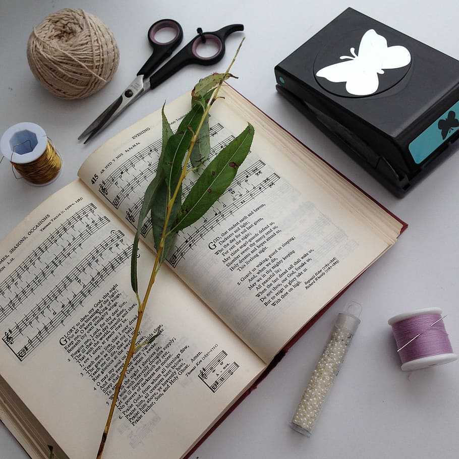 artesania, activitat, paper, tisores, paper, tisores, cadena, comptes, salze, mòbil, tir de l'estudi, cap gent, llibre, a l'interior, fons blanc, primer pla, publicació, vista d’angle alt, taula, natura morta, text, full, part de la planta, educació, planta, gots, obert, comunicació, tecnologia, flor, guió occidental, 1080P