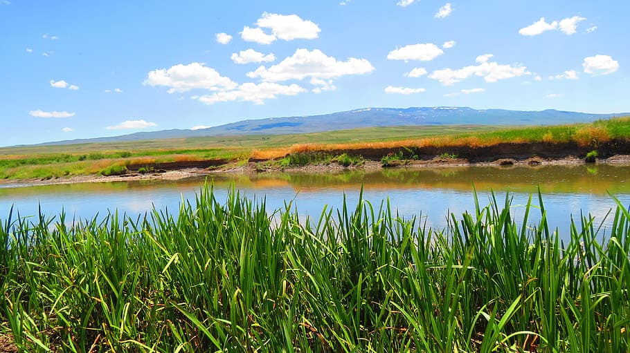 Reedy, primavera, riu, te, erzurum, naturalesa, paisatge, aigua, tranquil·litat, escena tranquil·la, escenics - natura, bellesa a la natura, planta, cel, llac, núvol - cel, dia, herba, cap gent, creixement, muntanya, color verd, escena no urbana, terra, a l'aire lliure, 4K