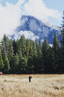 man, taking, photo, firld, wearing, black, jacket, using, camera, trees, brown, grass, white, blue, sky, daytime, cloud, mountain, forest, field, photographer, guy, male, snow, tree, ine tree, hat, yosemite, classic, plant, beauty in nature, land, scenics - nature, tranquil scene, tranquility, nature, real people, growth, one person, lifestyles, leisure activity, day, non-urban scene, rear view, environment, outdoors, 5K, CC0, public domain, royalty free