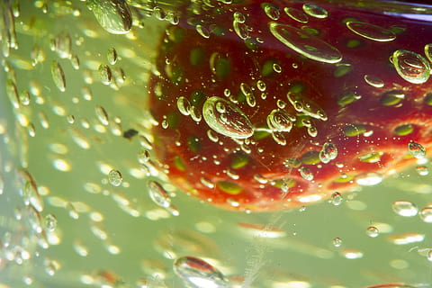 astratto, modello, macro, nessuno, modello astratto, struttura, design, sfondo, colore vivido, orizzontale, luce, bellissimo, dettaglio, sfondi, fotografia, bicchiere, immagine a colori, messa a fuoco selettiva, avvicinamento, colpi di dettaglio, copia spazio, studio, colori, rosso, fragola, schiuma, bolla, far cadere, acqua, natura, freschezza, bagnato, liquido, colore verde, pioggia, rugiada, goccia di pioggia, cibo e bevande, cibo, mangiare sano, frutta, benessere, frutti di bosco, fotogramma intero, giorno, maturo, purezza, fiore, 5K, CC0, dominio pubblico, privo di copyright