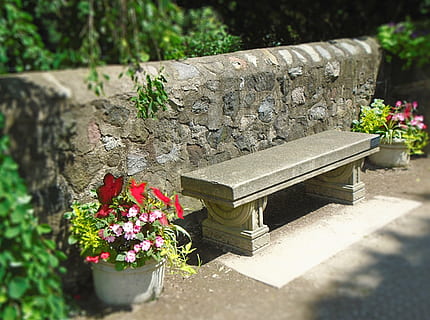 bancă, perete, marmură, piatră, parc, grădină, flori, seninătate, liniștit, floare, în aer liber, natură, cimitir, planta cu flori, plantă, creştere, nici o persoana, zi, lumina soarelui, planta in ghiveci, frumusețe în natură, prospeţime, selectiv, fragilitate, vulnerabilitate, vedere în unghi mare, solid, fata sau curtea din spate, recipient, ghiveci, 4K, CC0, domeniu public, fără drepturi de autor