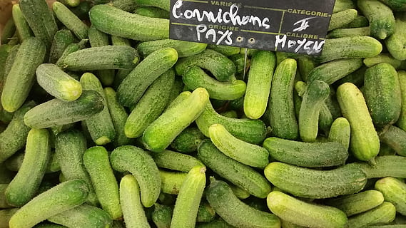 lote de pepino verde, vegetal, verde, picles, bio, salada, frescura, mercado, porcelana, comida e bebida, Comida, Alimentação saudável, cor verde, bem-estar, grande grupo de objetos, abundância, varejo, à venda, ninguém, texto, ainda vida, orgânico, tenda do mercado, fechar-se, pepino, escolha, venda, consumismo, 2K, CC0, domínio público, royalty free