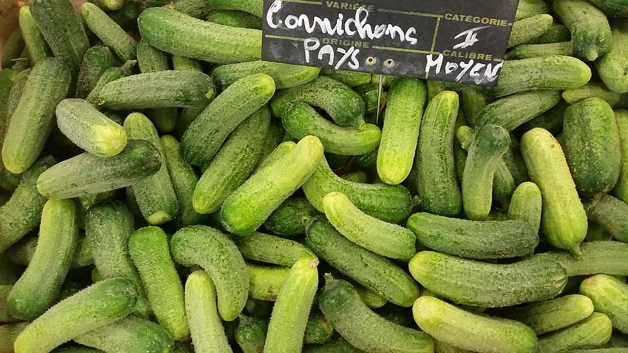 grüne Gurke viel, Gemüse, Grün, Gurken, bio, Salat, Frische, Markt, Ware, Essen und Trinken, Lebensmittel, gesundes Essen, grüne Farbe, Wohlbefinden, große gruppe von gegenständen, Fülle, Verkauf, zu verkaufen, keine Leute, Text, Stillleben, organisch, Marktstand, Nahansicht, Gurke, Wahl, Konsumismus, 2K