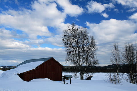 Winter, Wolke, Scheune, Landschaften, Schnee, Weiß, Gebäude, Himmel, Horizont, Haus, Schneelandschaft, schneebedeckt, Schweden, kalte Temperatur, Baum, wolke - himmel, die Architektur, gebaute Struktur, Pflanze, kahler Baum, Gebäudehülle, Natur, Schönheit in der Natur, Feld, Land, Landschaft, Szenen - Natur, Umgebung, Tag, keine Leute, draußen, Hütte, schneebedeckter Berg, Kabine, 2K, CC0, gemeinfrei, lizenzfrei