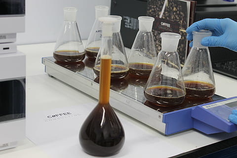 several, clear, glass erlenmeyer, flasks, brown, fluid, white, table, lab, coffee, caffeine, analysis, quality, consulting, laboratory, science, education, research, bottle, container, chemistry, scientific experiment, indoors, human hand, healthcare and medicine, hand, glass - material, laboratory glassware, medical research, chemical, close-up, occupation, one person, 4K, CC0, public domain, royalty free