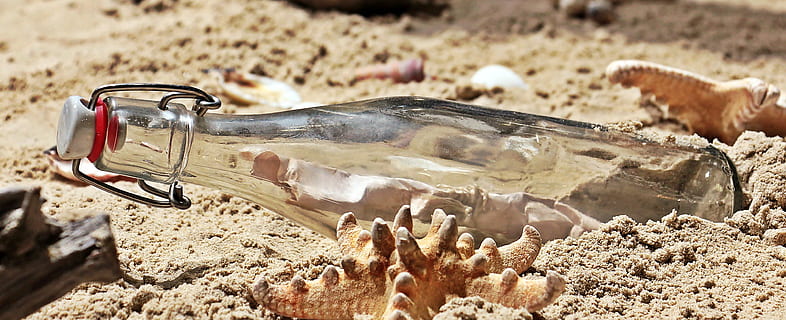 clear, glass bottle, brown, sand, beside, seashells, message in a bottle, bottle, post, beach, letters, mussels, letter in bottle, dirty, no people, outdoors, day, desert, close-up, nature, animal, animal themes, animal wildlife, focus on foreground, land, one animal, animals in the wild, container, fish, glass - material, vertebrate, animal body part, animal head, 4K
