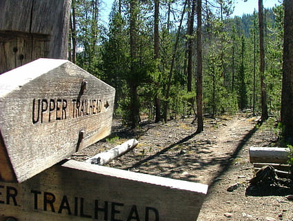 trail, sign, pointer, directions, choice, marker, trailhead, tree, text, communication, plant, western script, day, information, trunk, tree trunk, nature, no people, information sign, capital letter, forest, land, sunlight, script, number, wood - material, outdoors, 2K, CC0, public domain, royalty free