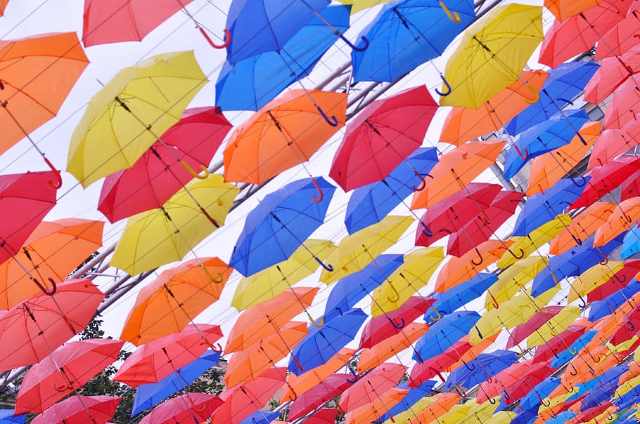 ombrello, screziato, multicolore, nessuno, cielo, vento, grande gruppo di oggetti, ambiente, fotogramma intero, sfondi, celebrazione, volante, giorno, all'aperto, natura, sospeso, mezz'aria, Palloncino, Inquadratura dal basso, cielo sereno, Festival, 4K