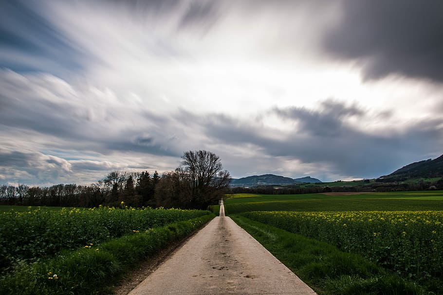 bahçe yolu, kahverengi, yol, yatak, Çiçekler, bulut, ağaç, alan, çayır, ülke şeridi, kir parça, kırsal bölge, kırsal, çimen, gökyüzü, dağ, dış mekan, manzara, bitki, bulut - gökyüzü, peyzaj, yön, manzaralar - doğa, ileriye giden yol, doğa, çevre, sakin sahne, doğada güzellik, huzur, kırsal manzara, azalan perspektif, insansız, arazi, Ufuk Noktası, taşımacılık, açık havada, 4K
