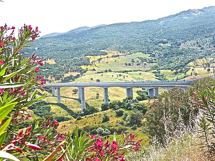 pont, travessar, connectar, enllaç, creuar, naturalesa, pont - estructura feta per l'home, muntanya, a l'aire lliure, planta, arquitectura, bellesa a la natura, estructura construïda, arbre, creixement, connexió, cel, escenics - natura, cap gent, dia, paisatge, planta amb flors, medi ambient, tranquil·litat, flor, arc, pont d’arc, columna arquitectònica, 4K, CC0, domini públic, lliure de regalies