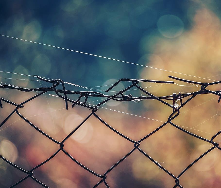 adancimea terenului, superficial, focalizare fotografie, ciclonul de gard, gard, pânză de păianjen, bokeh, cald, culoare, limite, Siguranță, barieră, Securitate, protecţie, metal, sârmă, lanț lanț, să se concentreze asupra primelor elemente, nici o persoana, natură, plasa de sarma, cer, lumina soarelui, sârmă ghimpată, zi, în aer liber, a închide, tehnologie, excludere, 4K