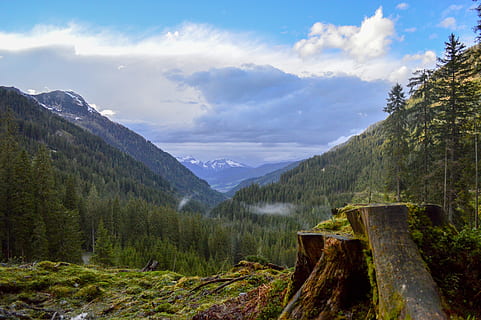 log, træ, Skov, skyer, himlen, østrig, himmel, østrig, grøn, blå, landskab, natur, sommer, cloudscape, bjerge, bjergtoppe, miljø, sol, alpine, genopretning, bjerg, scenics, udendørs, bjergkæde, ingen mennesker, skønhed i naturen, fyrretræ, ekstremt terræn, vildmarksområde, grøn farve, rock-objekt, Rocky Mountains, Nationalpark, sky - himmel, scenics - natur, rolig scene, plante, ro, jord, ikke-urbane scene, idyllisk, vækst, dag, bjergtop, nåletræ, formation, fyrreskov, 5K, CC0, offentligt domæne, royaltyfrie