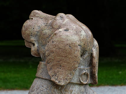 gos, estàtua, pedra, ssteinfigur, escultura, història, antic, cultures, vell, cementiri, cap gent, primer pla, a l'aire lliure, dia, art i artesania, representació, representació humana, artesania, creativitat, semblança masculina, talla - producte artesanal, centrar-se en primer pla, material de pedra, sòlid, el passat, tomba, àngel, 4K, CC0, domini públic, lliure de regalies
