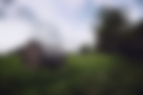borrosa, fondo, fondo, borroso, desenfocado, hierba, adulto, gente, grupo de personas, persona irreconocible, al aire libre, día, naturaleza, antecedentes, enfoque suave, deporte, adulto joven, planta, ambiente, paisaje, movimiento borroso, copia espacio, tierra, movimiento, ominoso, agresión, 5K, CC0, dominio público, libre de derechos