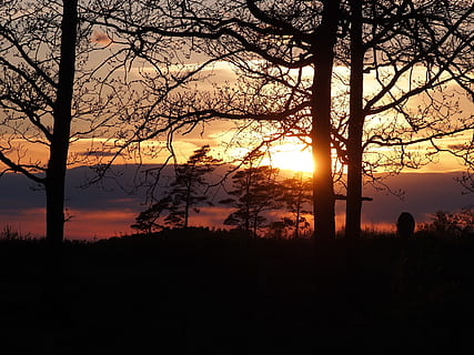 puesta de sol, crepúsculo, bosque, árbol, hermosamente, silueta, naturaleza, incendio forestal, belleza en la naturaleza, planta, cielo, escena tranquila, tranquilidad, paisajes - naturaleza, color naranja, idílico, escena no urbana, tierra, nube - cielo, el maletero, tronco de arbol, árbol desnudo, Dom, rama, nadie, al aire libre, 4K, CC0, dominio público, libre de derechos
