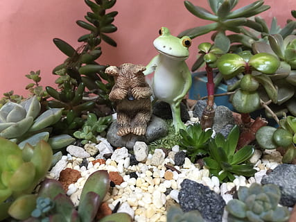 broască, plantă, cubs, reprezentare, natură, nici o persoana, reprezentare umană, frunze, parte a plantelor, artă și sculptură, figurină, creativitate, creştere, decor, a închide, jucărie, Culoarea verde, zi, asemănarea bărbaților, sculptură, mic, 2K, CC0, domeniu public, fără drepturi de autor