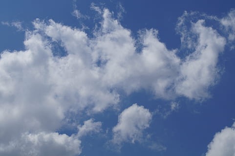 cel, blau, núvol, núvols blancs, núvols, dia d’estiu, bon temps, descans, clar, somiar despert, núvol - cel, bellesa a la natura, naturalesa, escenics - natura, Color blanc, cloudscape, fons, cap gent, vista d’angle baix, dia, medi ambient, tranquil·litat, a l'aire lliure, vent, esponjós, idíl·lic, meteorologia, clima, netejar, 5K, CC0, domini públic, lliure de regalies