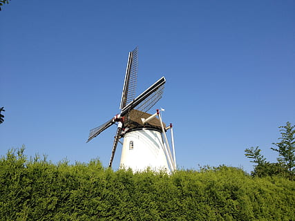 mulino, Elden, arnhem, Olanda, cielo, combustibile e produzione di energia, energia rinnovabile, energia alternativa, conservazione dell'ambiente, pianta, turbina eolica, cielo sereno, ambiente, energia eolica, turbina, blu, albero, Inquadratura dal basso, mulino a vento tradizionale, giorno, colore verde, natura, paesaggio, nessuno, all'aperto, risorse sostenibili, 2K, CC0, dominio pubblico, privo di copyright