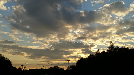 clouds, sun, sunset, landscape, silhouette, nature, sky, dusk, outdoors, cloud - sky, tree, plant, beauty in nature, tranquility, tranquil scene, scenics - nature, no people, growth, low angle view, dramatic sky, idyllic, sunlight, non-urban scene, 5K, CC0, public domain, royalty free