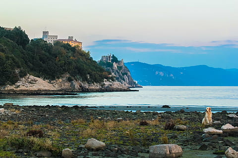 duo, κάστρο, σκύλος, παλάτι, γκολφ, νερό, θάλασσα, βράχος, ροκ - αντικείμενο, στερεός, βουνό, σκηνικά - φύση, ουρανός, ομορφιά στη φύση, γη, φύση, αρχιτεκτονική, παραλία, γαλήνια σκηνή, ηρεμία, χωρίς κόσμο, σύννεφο - ουρανό, ημέρα, σχηματισμό βράχου, σε εξωτερικό χώρο, Όρμος, βραχώδη ακτογραμμή, 5K, CC0, δημόσιος τομέαςα, χωρίς δικαιώματαe
