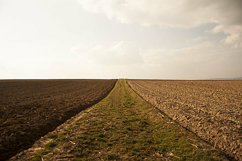 i campi, arabile, ambiente, natura, paesaggio, cielo, terra, agricoltura, nuvola - cielo, orizzonte, scena rurale, campo, orizzonte sopra terra, scenics - natura, scena tranquilla, nessuno, la tranquillità, bellezza nella natura, sporco, pianta, giorno, crescita, all'aperto, 4K, CC0, dominio pubblico, privo di copyright