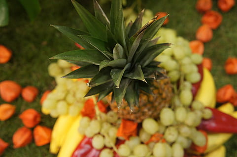 ananas, fruct, exotic, plantă, parte a plantelor, frunze, creştere, prospeţime, a închide, Culoarea verde, frumusețe în natură, alimente, natură, nici o persoana, planta cu flori, floare, mancare si bautura, selectiv, zi, mâncat sănătos, fragilitate, în aer liber, 4K, CC0, domeniu public, fără drepturi de autor