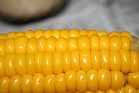 fotografía macro, maíz, el matraz, cocido, comida, vegetal, comida y bebida, frescura, alimentación saludable, amarillo, bienestar, de cerca, nadie, maíz dulce, adentro, alimentos crudos, maíz en la mazorca, repetición, en una fila, centrarse en primer plano, orgánico, antecedentes, bocadillo, tentación, 2K, CC0, dominio público, libre de derechos