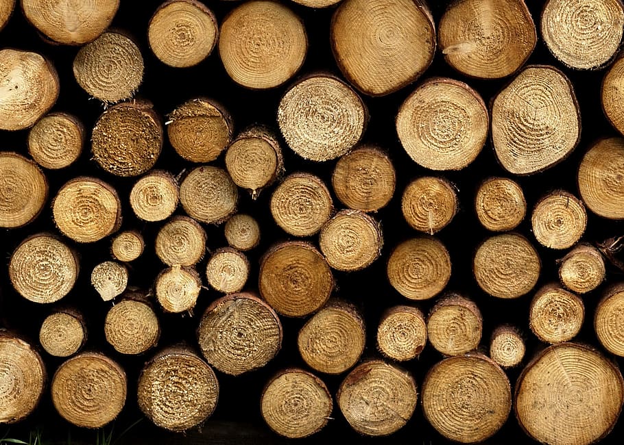 hout, structuur, trunks, volledig kader, achtergronden, grote groep objecten, stack, logboek, brandhout, houtindustrie, geen mensen, overvloed, brandstapel, hout - materiaal, patroon, Bos, arrangement, ontbossing, hoop, getextureerde, brandstof en stroomopwekking, 1080P