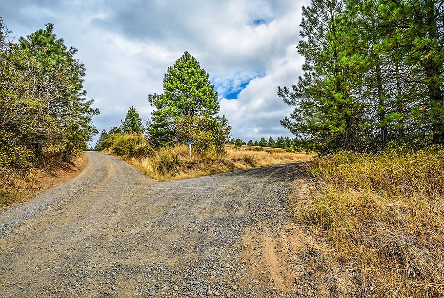 buit, carretera, arbres, blanc, cel, durant el dia, forquilla, brutícia, direcció, Camí, dos, creu, bifurcada, naturalesa, bifurcació a la carretera, país, rural, arbre, núvol - cel, paisatge, el camí a seguir, planta, escena rural, cap gent, transport, escena no urbana, Carretera bruta, escenics - natura, bellesa a la natura, terra, medi ambient, tranquil·litat, escena tranquil·la, perspectiva decreixent, a l'aire lliure, grava, 2K