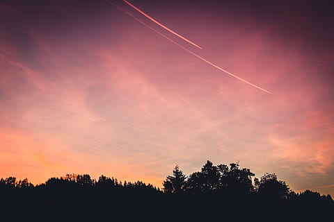 ağaçlar silüeti, siluet, uzun boylu, ağaç, kestane rengi, gökyüzü, gün batımı, akşam karanlığı, Contrails, bulutlar, ağaçlar, orman, gölgeler, doğa, açık havada, scenics, doğada güzellik, insansız, kırmızı, vapur seyahati, bulut - gökyüzü, manzaralar - doğa, düşük açılı görünüş, bitki, turuncu renk, sakin sahne, huzur, hava aracı, büyüme, dramatik gökyüzü, 5K, CC0, kamu malı, telif ücretsiz