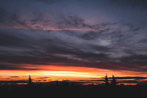 foto de la silueta al vespre, arbres, ennuvolat, cels, foto de paisatge, daurat, hores, sortida del sol, núvol, color, arbre, posta de sol, silueta, blau, pruple, vermell, groc, humor, núvol - cel, cel, bellesa a la natura, color taronja, escenics - natura, cel dramàtic, naturalesa, tranquil·litat, cap gent, paisatge, medi ambient, escena tranquil·la, arquitectura, idíl·lic, a l'aire lliure, planta, vespre, fosc, paisatge urbà, cel romàntic, 1080P, CC0, domini públic, lliure de regalies