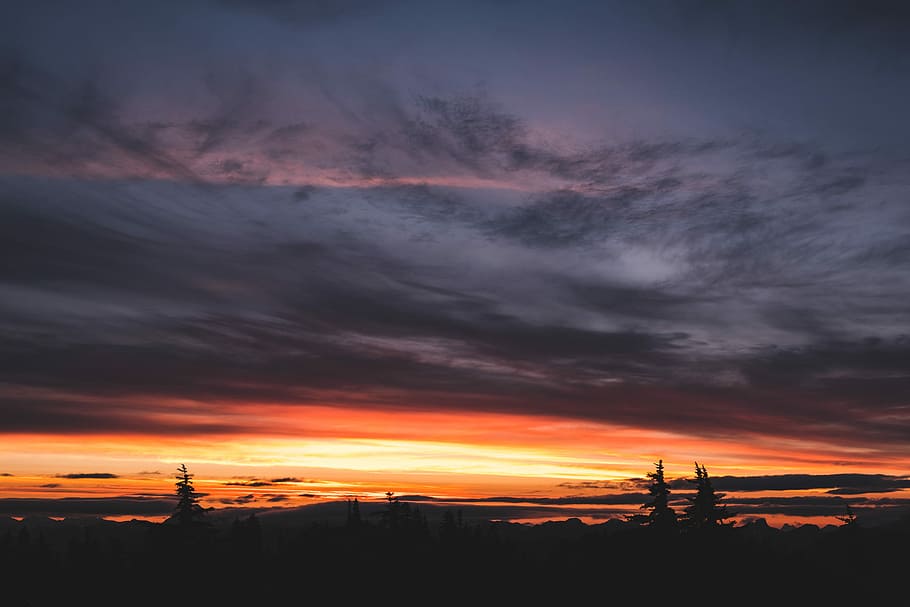 foto de la silueta al vespre, arbres, ennuvolat, cels, foto de paisatge, daurat, hores, sortida del sol, núvol, color, arbre, posta de sol, silueta, blau, pruple, vermell, groc, humor, núvol - cel, cel, bellesa a la natura, color taronja, escenics - natura, cel dramàtic, naturalesa, tranquil·litat, cap gent, paisatge, medi ambient, escena tranquil·la, arquitectura, idíl·lic, a l'aire lliure, planta, vespre, fosc, paisatge urbà, cel romàntic, 1080P