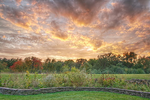 facade of forest, Sunset, Fall, Hdr, Nature, Autumn, landscape, sun, sunlight, light, outdoor, color, park, sunset background, nature landscape, outdoors, sky, cloud - Sky, scenics, rural Scene, tree, dusk, sunrise - Dawn, summer, beauty In Nature, grass, field, cloudscape, no People, meadow, non-Urban Scene, dawn, plant, tranquility, environment, tranquil scene, scenics - nature, land, dramatic sky, 2K, CC0, public domain, royalty free