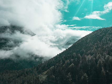 vert, Montagne, blanc, ciel, jour, photographie de paysage, pins, arbre, forêt, nuage, brouillard, des bois, éclair de soleil, Suisse, saas fee, Soleil, nuage - ciel, paysages - nature, beauté dans la nature, scène tranquille, plante, personne, tranquillité, la nature, scène non urbaine, environnement, journée, paysage, chaîne de montagnes, éloigné, en plein air, idyllique, conifère, 4K, CC0, domaine public, libre de droits