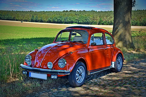 roșu, volkswagen beetle coupe, parcat, maro, trunchi de copac, timpul zilei, Oldtimer, vw gândac, clasic, vw, auto, vechi, nostalgie, trafic, PKW, Herbie, raritate, istoricește, mijloc de transport, transport, vehicul cu motor, vehiculul terestru, mașină, stil retro, natură, peisaj, staționar, nici o persoana, teren, camp, zi, copac, mediu inconjurator, plantă, rural, roată, 5K, CC0, domeniu public, fără drepturi de autor