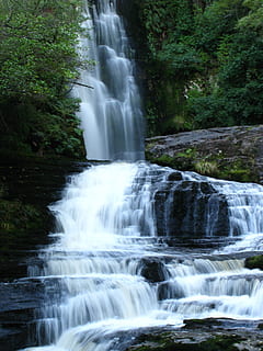 cascades, envoltat, arbres, aigua, cau, riu, corrent, humit, fresc, netejar, fons d’aigua, bosc, tirar, caiguda de fons, aigua neta, gota d'aigua, flux, cascada, exposició llarga, moviment, aigua que flueix, bellesa a la natura, escenics - natura, moviment borrós, arbre, rock, planta, terra, cap gent, rock - object, naturalesa, poder a la natura, que flueix, poder, selva tropical, a l'aire lliure, caient aigua, 2K, CC0, domini públic, lliure de regalies
