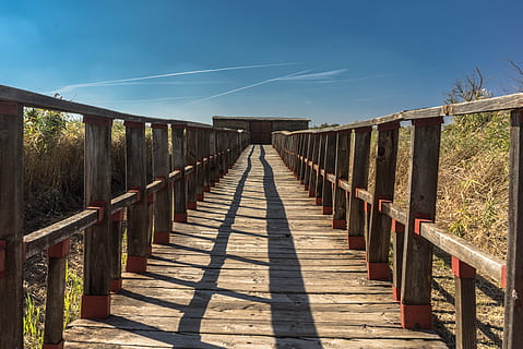 Brun, træ-, bro, klar, blå, himmel, dagtimerne, gateway, sti, skygge, lykke, Soledad, parkere, natur, følge efter, gå, vandring, landskab, grøn, bagagerum, efterår, Skov, træ, landdistrikterne, rustik, historisk, træ - materiale, boardwalk, udendørs, bro - menneskeskabt struktur, sollys, bygget struktur, forbindelse, vejen frem, dag, arkitektur, retning, rækværk, ingen mennesker, faldende perspektiv, gangbro, træpaneler, lang, 5K, CC0, offentligt domæne, royaltyfrie