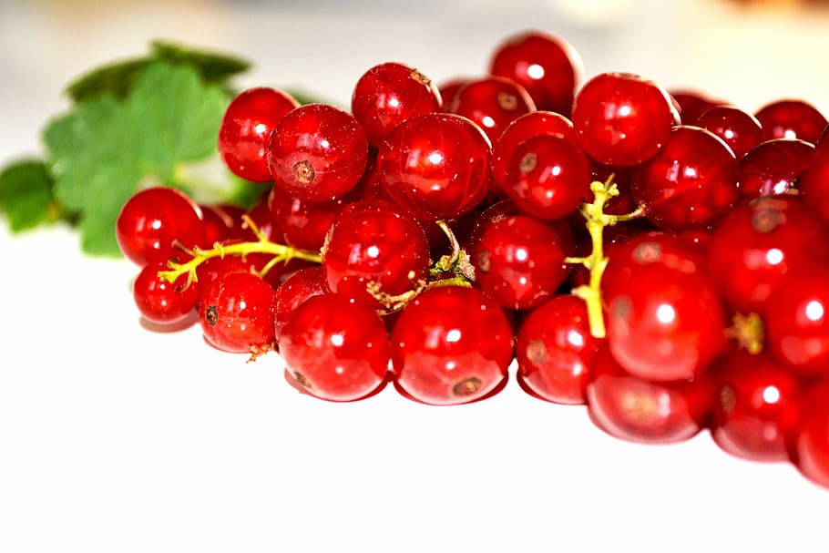 Weiß, Obst, Hintergrund, isoliert, Vegetarier, reifen, natürlich, Beere, köstlich, Grün, Dessert, Süss, Aussicht, rot, Diät, beißen, organisch, Kategorie, Blatt, bilder, Gourmet, ausgeschnitten, sauer, Makro, Bahnhof, Stengel, Johannisbeere, lecker, gesund, Vitamin, Gruppe, Pflanze, Zutat, Strauß, frisch, Ernährung, Gesundheit, Ast, Natur, Lebensmittel, saftig, roh, Essen und Trinken, gesundes Essen, Frische, Nahansicht, Wohlbefinden, Beerenfrucht, keine Leute, große gruppe von gegenständen, reif, Studioaufnahme, Kranichbeere, selektiver Fokus, Bündel, Gruppe von Objekten, Stillleben, Rote Johannisbeere, Antioxidans, Diät halten, 5K