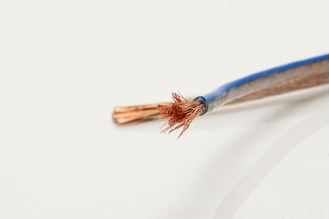 schwarz, beschichtet, Kabel, Weiß, Oberfläche, Linie, Lautsprecherkabel, Strand, Feindraht, flexiebel, aktuell, Risiko, gefährlich, Nahansicht, Studioaufnahme, weißer Hintergrund, drinnen, kopieren sie platz, keine Leute, Stillleben, wirbellos, Insekt, selektiver Fokus, Feder, braun, weiße Farbe, einzelnes Objekt, Tierthemen, Tier, Verletzlichkeit, Zerbrechlichkeit, Tabelle, Tierwelt, Weichheit, 2K, CC0, gemeinfrei, lizenzfrei