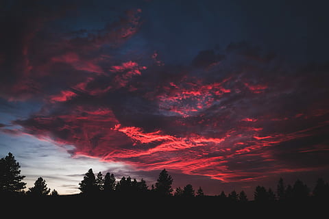 musta, korkea, Puut, valkoinen, taivas, kultainen, tunnin, siluetti, pilviä, dramaattinen taivas, cloudscape, pilvi, auringonlasku, väri-, Princeton, puu, kauneus luonnossa, pilvi - taivas, kasvi, maisemat - luonto, tyyneys, rauhallinen kohtaus, ei ihmisiä, kasvu, luonto, ei-kaupunkikuvia, idyllinen, oranssi väri, punainen, ulkona, 4K, CC0, public domain, rojaltivapaa