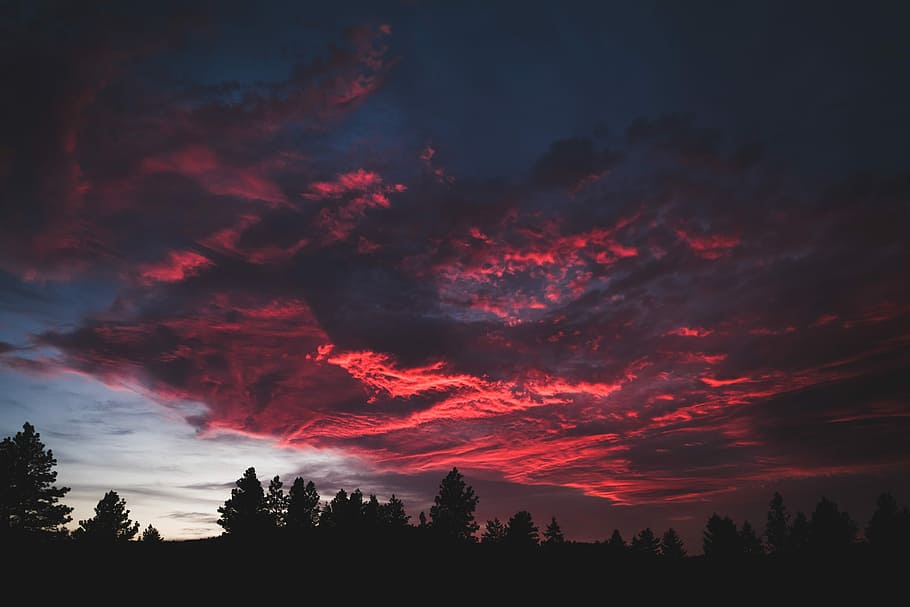 negre, alt, arbres, blanc, cel, daurat, hores, silueta, núvols, cel dramàtic, cloudscape, núvol, posta de sol, color, Princeton, arbre, bellesa a la natura, núvol - cel, planta, escenics - natura, tranquil·litat, escena tranquil·la, cap gent, creixement, naturalesa, escena no urbana, idíl·lic, color taronja, vermell, a l'aire lliure, 4K
