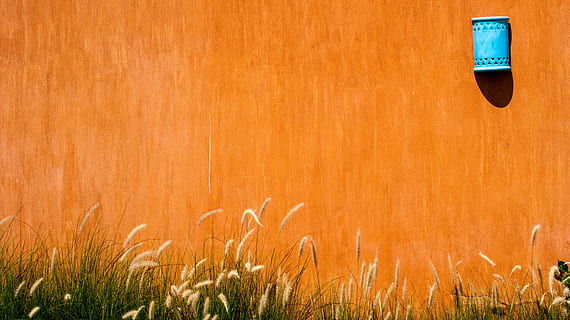piante a foglia verde, parete, lampada di ricambio, lo sfondo, erba, lago dusia, lampada decorativa, nessuno, pianta, natura, colore arancione, giorno, all'aperto, pianta di cereali, terra, comunicazione, fotogramma intero, crescita, campo, avvicinamento, sfondi, luce del sole, copia spazio, Marrone, strutturato, raccolto, 4K, CC0, dominio pubblico, privo di copyright