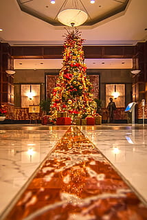 palle, fascio, grande, soffitto, celebrare, celebrazione, allegro, Natale, albero di Natale, classico, di classe, buio, arredamento, decorato, decorazione, i regali, alto, vacanza, orizzontale, enorme, in casa, dentro, invitante, luci, illuminato, attrezzatura per l'illuminazione, decorazione natalizia, interno di casa, architettura, luci di Natale, nessuno, vacanza - evento, pianta, lusso, albero, pavimentazione, ornamento di Natale, livello di superficie, 1080P, CC0, dominio pubblico, privo di copyright